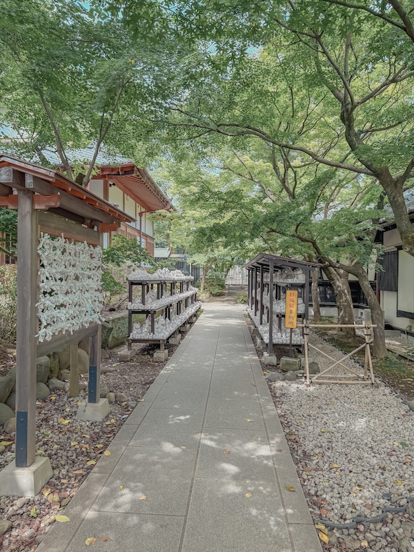 豪德寺